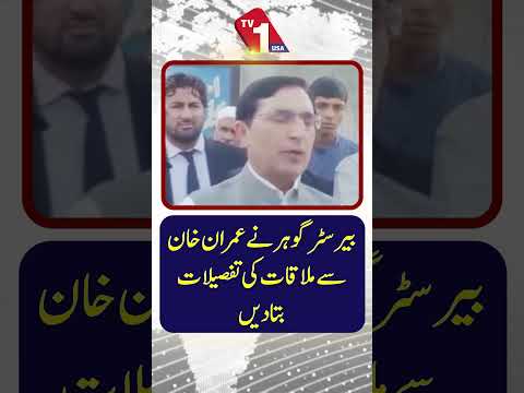 بیرسٹر گوہر نے عمران خان کے ساتھ اپنی ملاقات کی تفصیلات ظاہر کر دیں