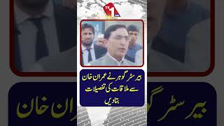 بیرسٹر گوہر نے عمران خان کے ساتھ اپنی ملاقات کی تفصیلات ظاہر کر دیں