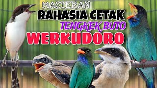 Download lagu MASTERAN CENDET RAHASIA CETAK TENGKEK BUTO WERKUDORO PANJANG KEKINIAN mp3 Download lagu MASTERAN CENDET RAHASIA CETAK TENGKEK BUTO WERKUDORO PANJANG KEKINIAN mp3