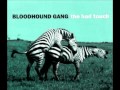 Bloodhound Gang: The Bad Touch 