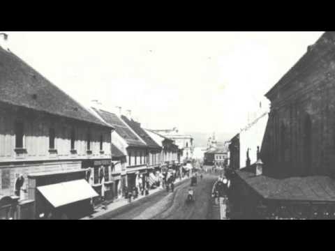 Traian Lascut Fagarasanu - Cantec Batranesc