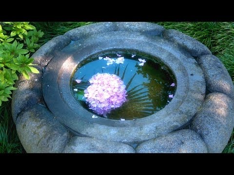Zen Garden Flowers - Relaxation, Meditation, Mindfulness