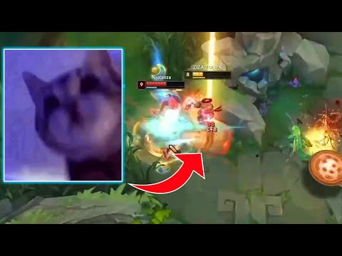 When Real Cat Playing Lee Sin