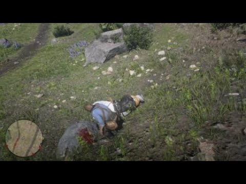 Red Dead Redemption 2 Breek je nek!