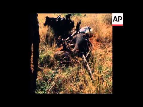 SYND 11 6 77AFTERMATH RHODESIAN RAID ON MAPAI