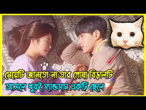 মেয়েটি জানতো না তার পোষা বিড়ালটি আসলে খুবই হ্যান্ডসাম একটি ছেলে