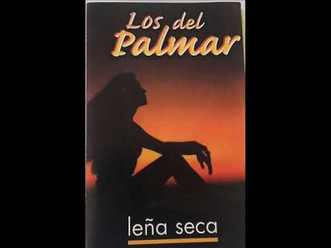 Mario Pereyra - Los del Palmar - Enganchados 1