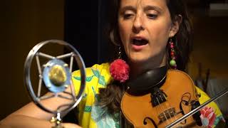 David Wax Museum - &quot;If I Had The World To Give&quot; (Grateful Dead) [LIVE at Stubblebine Lutherie]