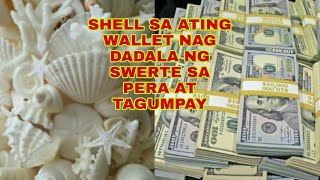 SHELL SA ATING WALLET NAGDADALA NG LIMPAK-LIMPAK NA SALAPI AT TAGUMPAY - Apple Paguio7