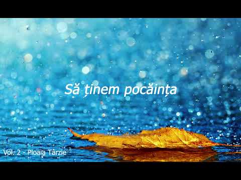 Frații Bălan - Îndemn la pocăință