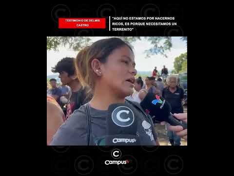 “NOS SACARON SIN PREVIO AVISO”: DESALOJO AFECTA A MÁS DE MIL FAMILIAS EN COFRADÍA