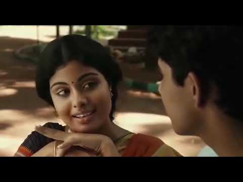 la pelicula de la vida de pi