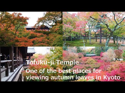 Tofuku-ji Temple, Kyoto, Japan - One of the best places for viewing autumn leaves in Kyoto