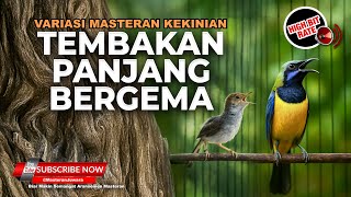 Download lagu 🔴 Live Tembakan Berkelas Panjang Prenjak Tir Gacor vs Cucak Cungkok Super Gacor Roll Speed mp3 Download lagu 🔴 Live Tembakan Berkelas Panjang Prenjak Tir Gacor vs Cucak Cungkok Super Gacor Roll Speed mp3