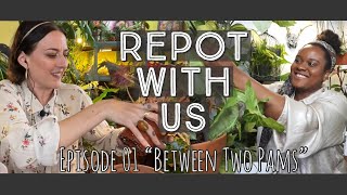 Repot With Us Ep01 | Between Two Pams | An Interview with Pamella P aka @hauzplant