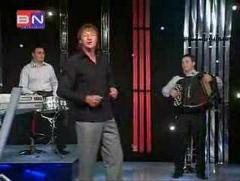 Ljubisa Vasiljevic - Vila bana sa planine zvala