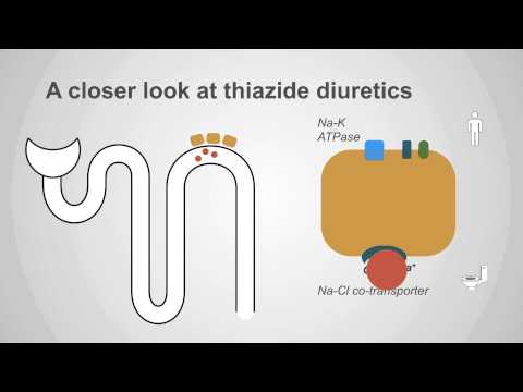 Thiazide Diuretics Explained: Mechanism & Clinical Application