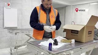 Küçük Kızın Duyarlılığı Sayesinde 2 Yavru Kedi Kurtarıldı