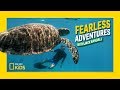 Tracking Green Turtles in the Great Barrier Reef | Fearless Adventures with Jack Randall