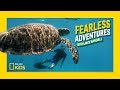 Tracking Green Turtles In The Great Barrier Reef Fearless Adventures With Jack Randall