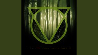 Shore Lined Poison (Budapest)