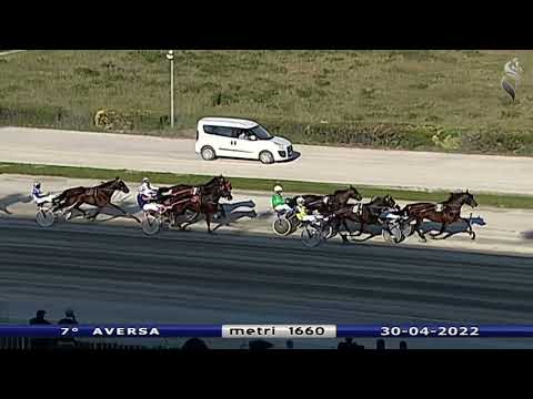 Aversa trotto 30 Aprile 2022 - 7° Corsa