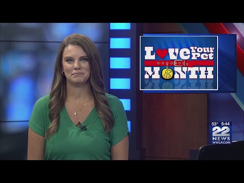 What to do if you're allergic to your pet