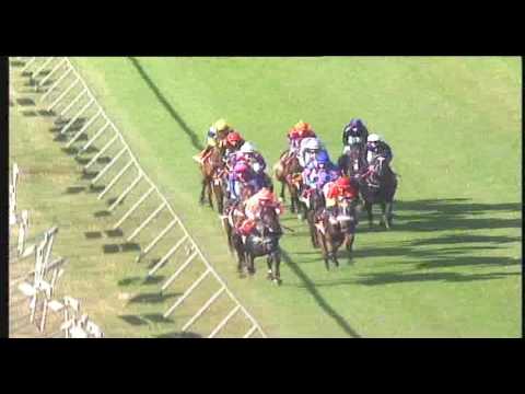 06 MAY 2017 BORROWDALE PARK RACE 8