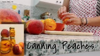 How to Preserve Peaches// Just 3 Ingredients!