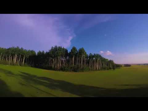 Aerial Visuals // Out of Love // Two Friends ft. Cosmos and Creature