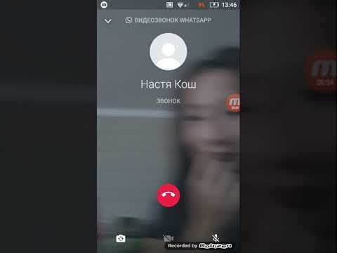 Звоню Насте кош