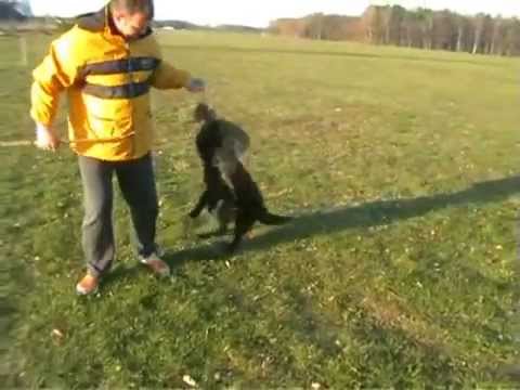 Latifa von Metunaj mit 5 Monaten.wmv