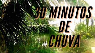 30 MINUTOS de Som da Chuva na Mata dos Cocais