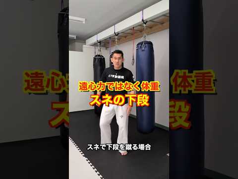回すと威力出ない！スネの下段のポイント#ローキック#karate#kyokushin#空手#極真#shorts