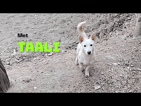 Dost ke deray pr gye.. | IZRK