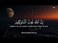 تلاوة القرآن للدراسة والتركيز ❤️🧠 | Mind Clarity Recitation 🎧 | هدوء ذهني عميق | ساعة كاملة DEFAULT Thumbnail