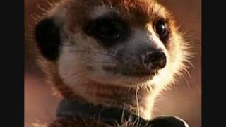 Rest In Peace Cloud Heart