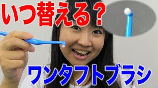 ワンタフトブラシはいつ替える？