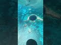 Mariana Trench Airplane Video