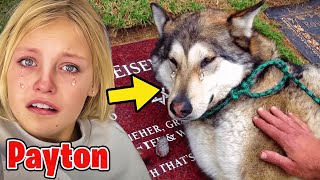 8 YouTubers SADDEST MOMENTS Caught on Video! (Payton Delu, Ninja Kidz TV, Salish Matter)