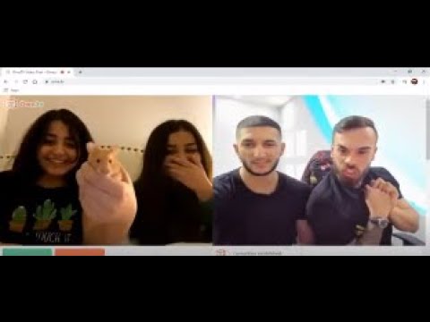 RITKO MDFK x LAZAROV i ARAPKI *GLUSHEC,Kje se ZENAT*