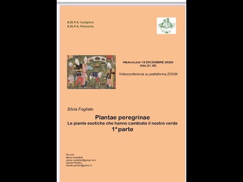 , title : 'Plantae peregrinae - prima parte'