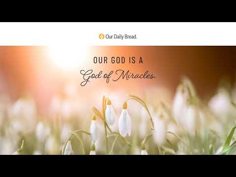 The Miracle of Salvation | Audio Reading | Our Daily Bread Devotional | September 26, 2022