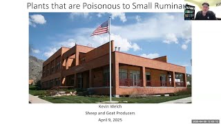 Plants that are Poisonous to Small Ruminants