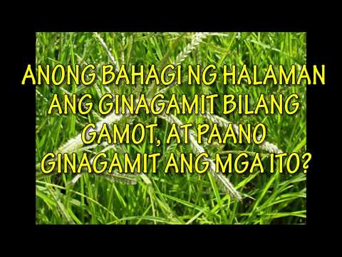Cafe na may isang menu para sa slimming Mga tula tungkol sa pagkawala ng timbang ang lahat bilang