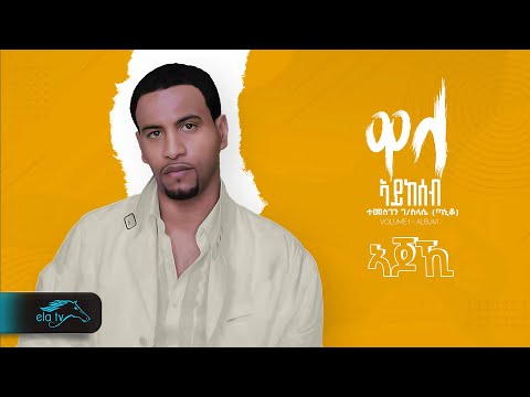 Temesgen Gebreselassie  - Taniqo - Ajoki - ኣጆኺ- Eritrean Music - ( Official Audio ) - Men eki men