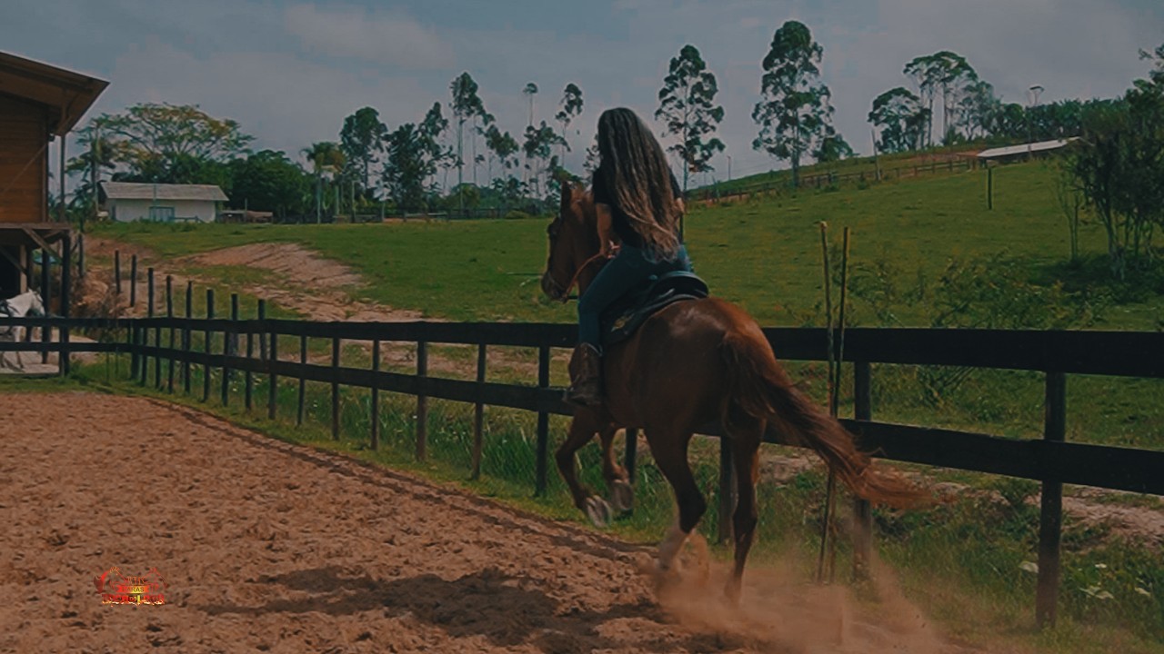 Haras Toca do Lobo