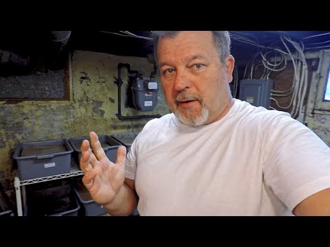 14th feeding of red wiggler worms in 115-day system - vermicompost