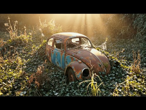 1967 Volkswagen Beetle From Rusted Relic to German Icon (Full Restoration)