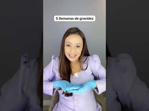 5 Semanas de gravidez, olha essa maquete do tamanho real do embrião